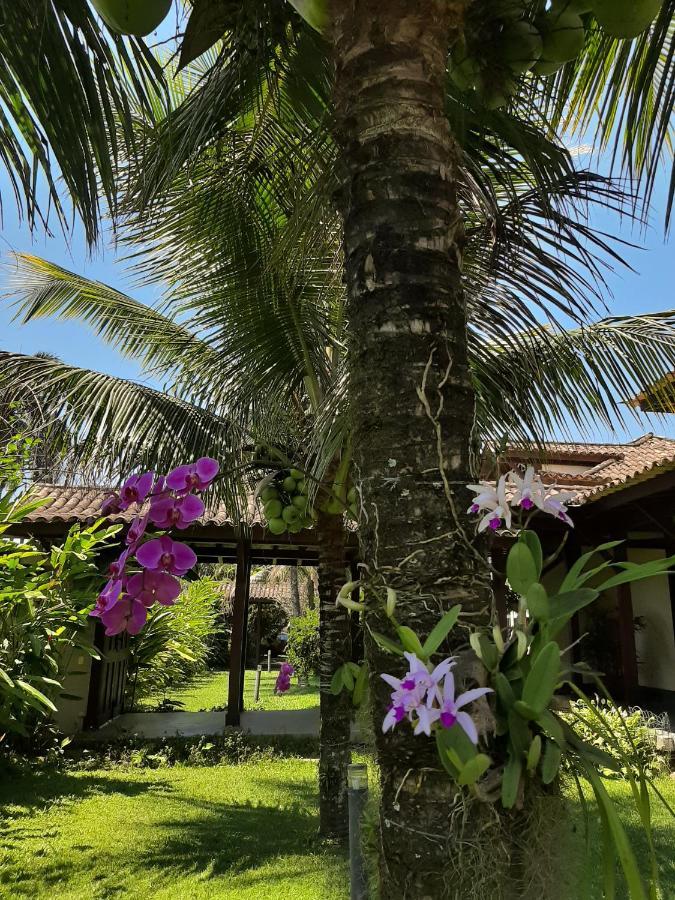 パラチCasa Pomar Do Aconchegoアパートメント エクステリア 写真